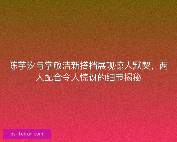 陈芋汐与掌敏洁新搭档展现惊人默契，两人配合令人惊讶的细节揭秘